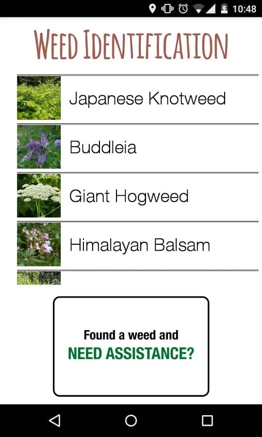 Weed Identifier (UK)截图7