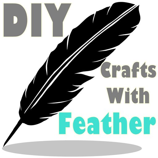 DIY Crafts With Feather截图2