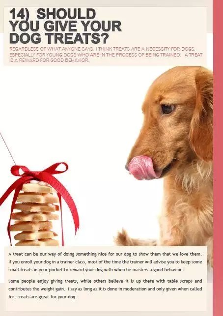 TRIAL - Proper Diet For Happy Dogs截图3