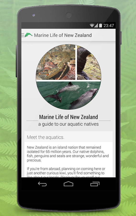 Marine Life of NZ Free截图3