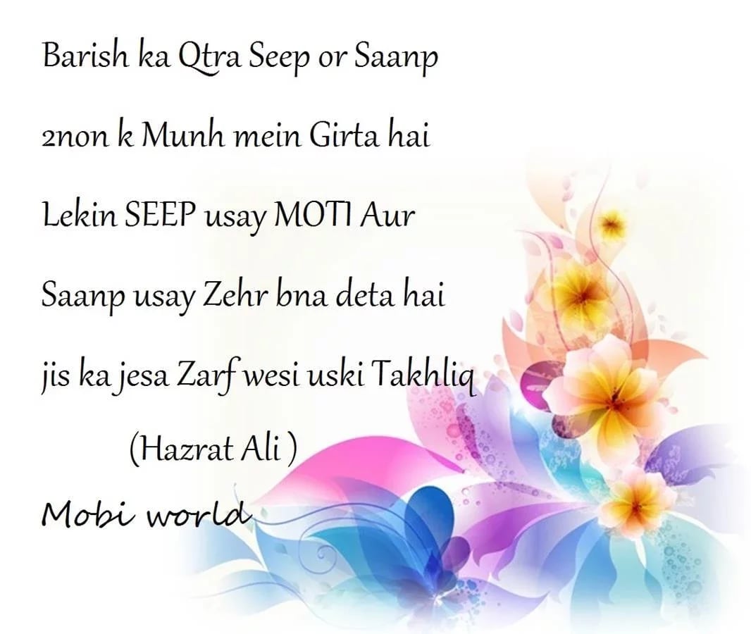 Hazrat Ali Saying截图1