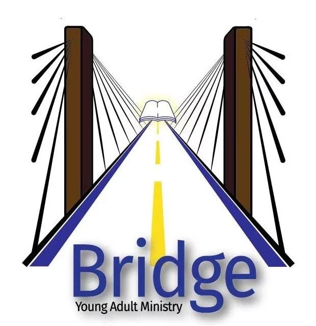 Bridge Young Adult Minis...截图3