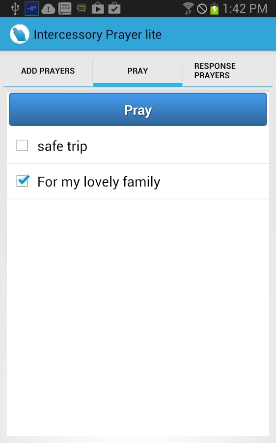 Intercessory Prayer Lite截图8