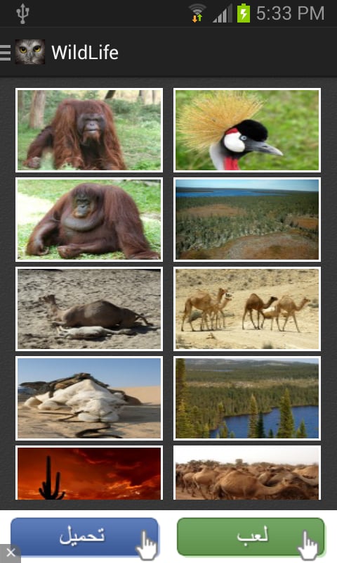 Wild Life截图3