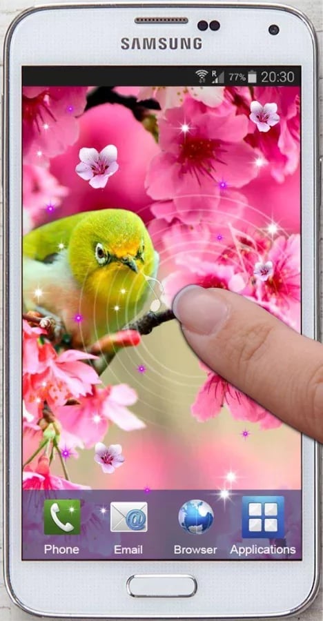 Sakura Spring LWP截图2