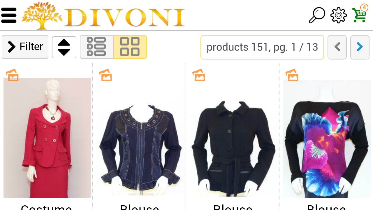 Online Clothes Store Dem...截图1