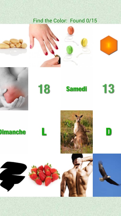 Flashcards French Lesson截图2