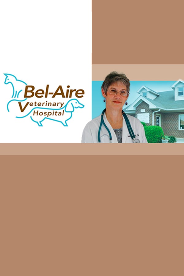 Bel-Aire Vet截图1