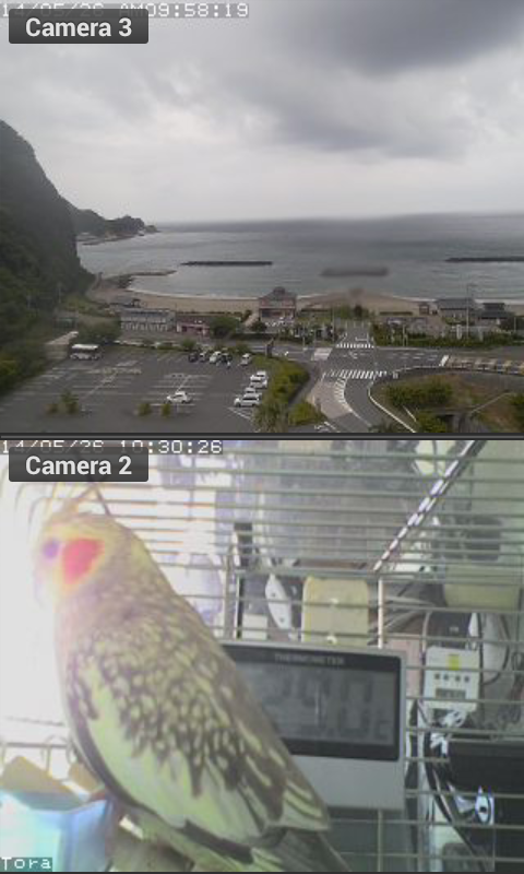 Viewer for ICam IP cameras截图6