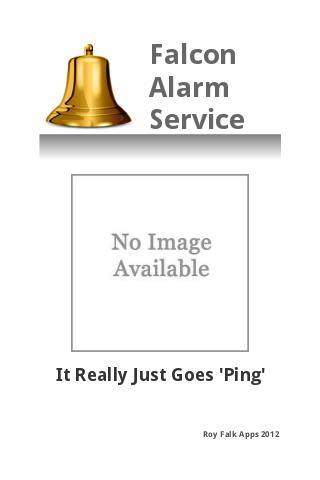 Falcon Alarm Service截图2