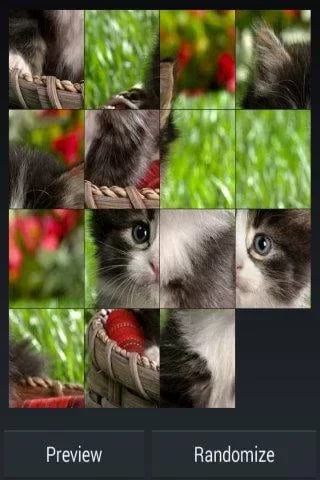 Baby Animal Fancy截图3