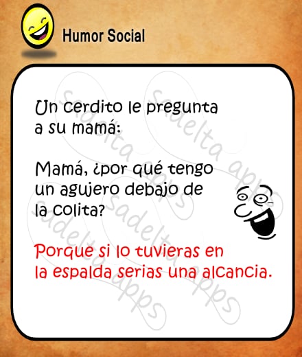 Humor Social截图5