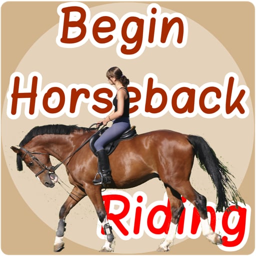 Begin Horseback Riding截图1