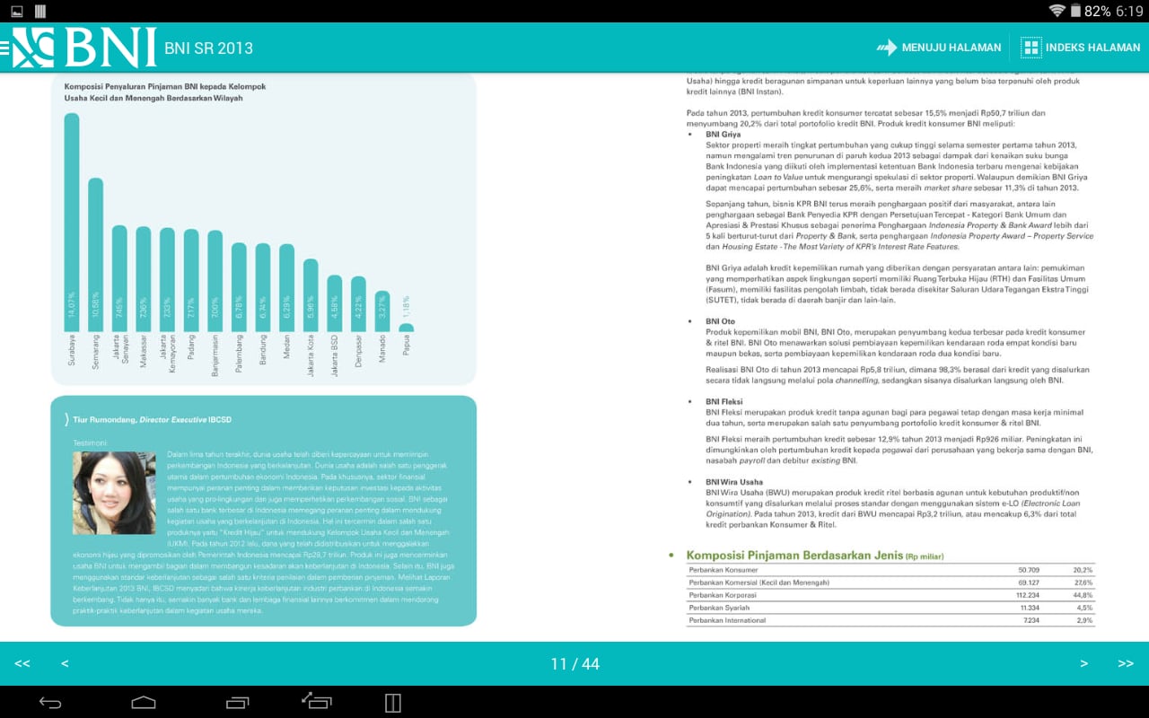 BNI SR 2013 (Bahasa)截图11