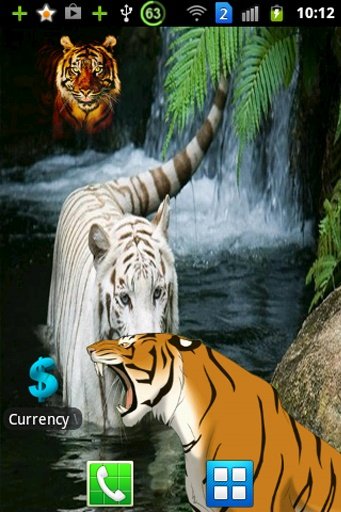 Angry Tiger Magic Touch截图11