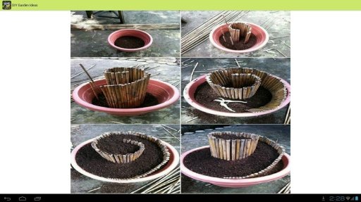 DIY Garden Ideas截图5