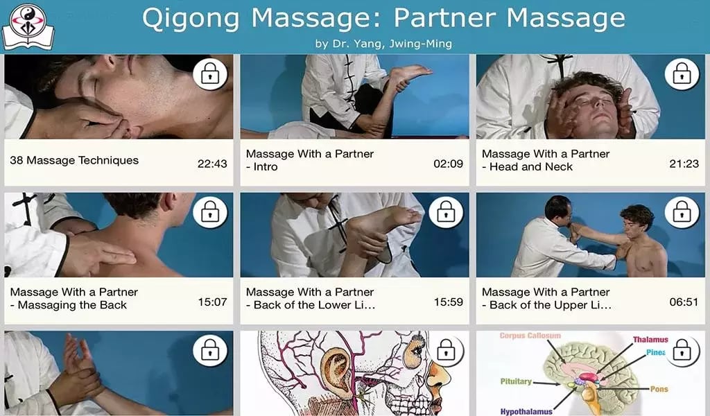 Qigong Massage: Partner截图4