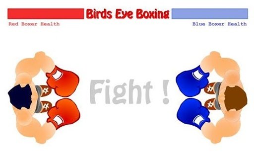 Birds Eye Boxing Game截图4