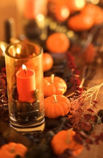 Halloween Decorations Ideas截图2