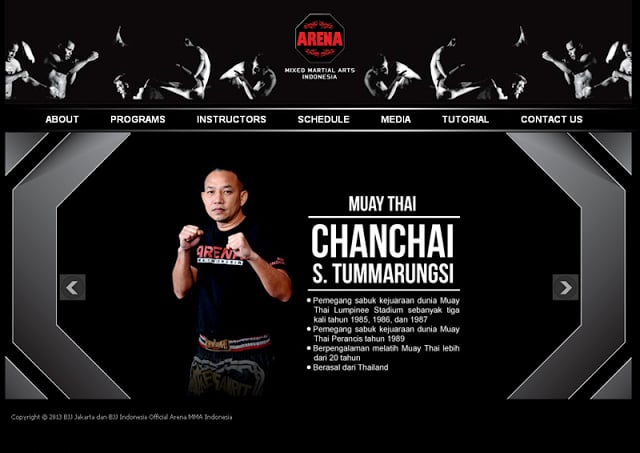 Arena MMA Indonesia Launcher截图5