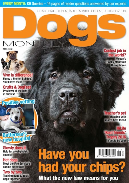 Dogs Monthly Magazine截图1