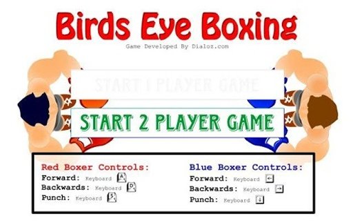 Birds Eye Boxing Game截图1