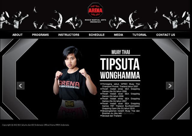 Arena MMA Indonesia Launcher截图2