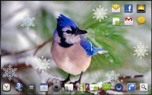 Snow Birds Songs HD LWP截图3