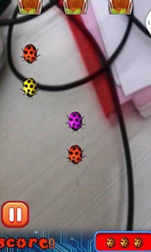 Transparent Lady Bug Smasher截图4