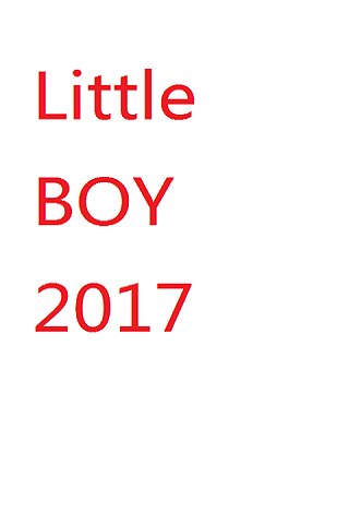 little boy 2017截图2