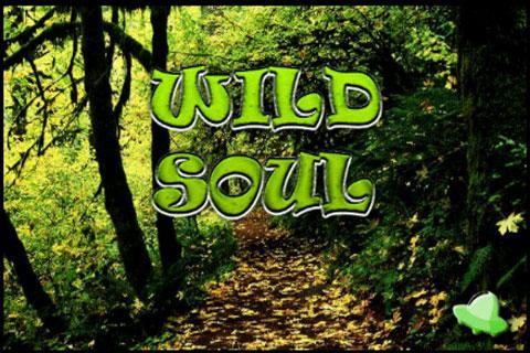 Wild Soul截图3