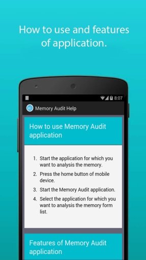 Memory Audit截图3