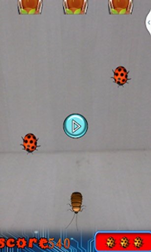 Transparent Lady Bug Smasher截图3