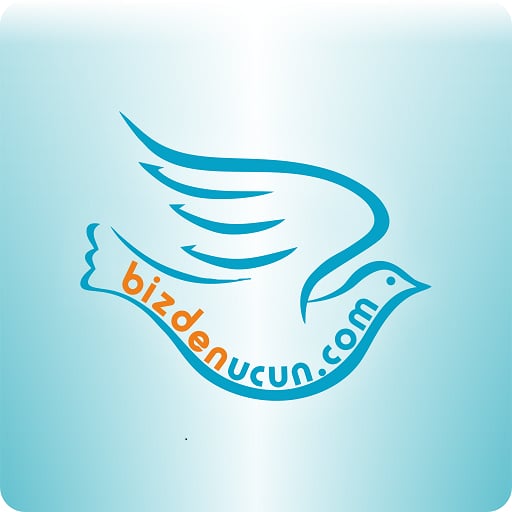 www.bizdenucun.com Fligh...截图2