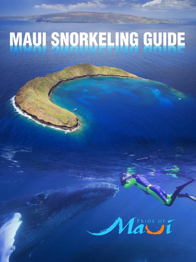 Maui Hawaii Snorkeling Guide截图1