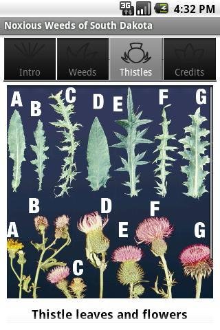 Noxious Weeds of South D...截图1