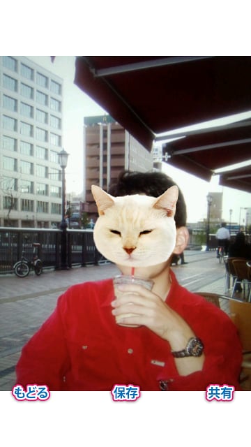 If I turned into a cat...截图1