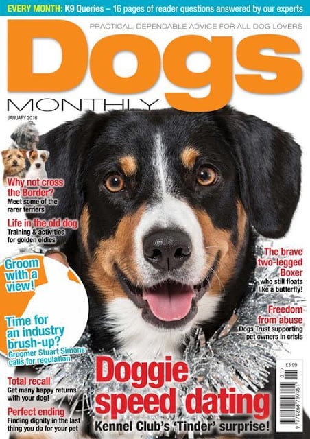 Dogs Monthly Magazine截图9