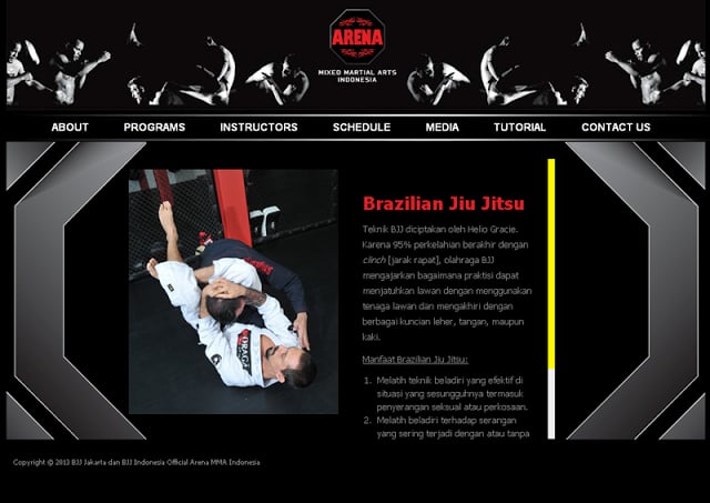 Arena MMA Indonesia Launcher截图11