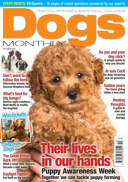 Dogs Monthly Magazine截图7