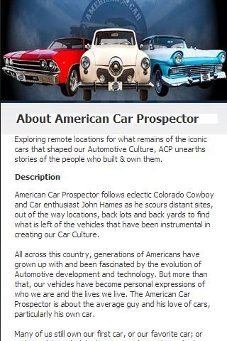 American Car Prospector截图2