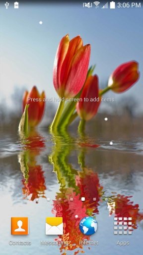 Tulips in water III截图2