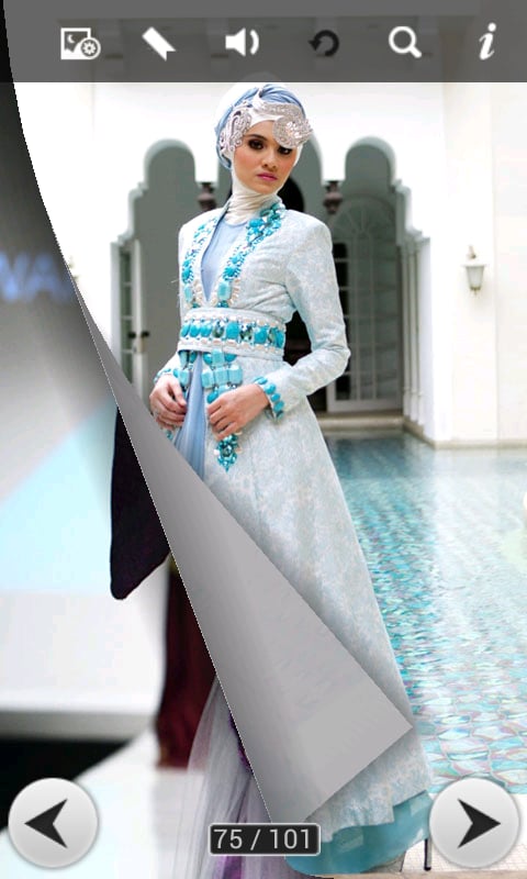 Muslim wedding dress截图3