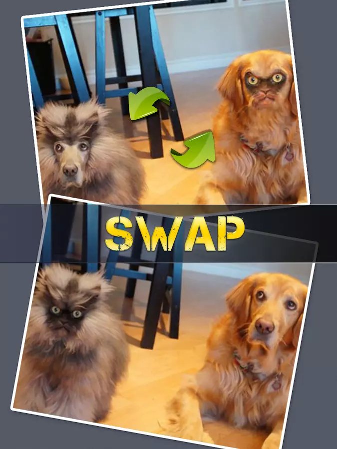Face Changer - Swap and ...截图8