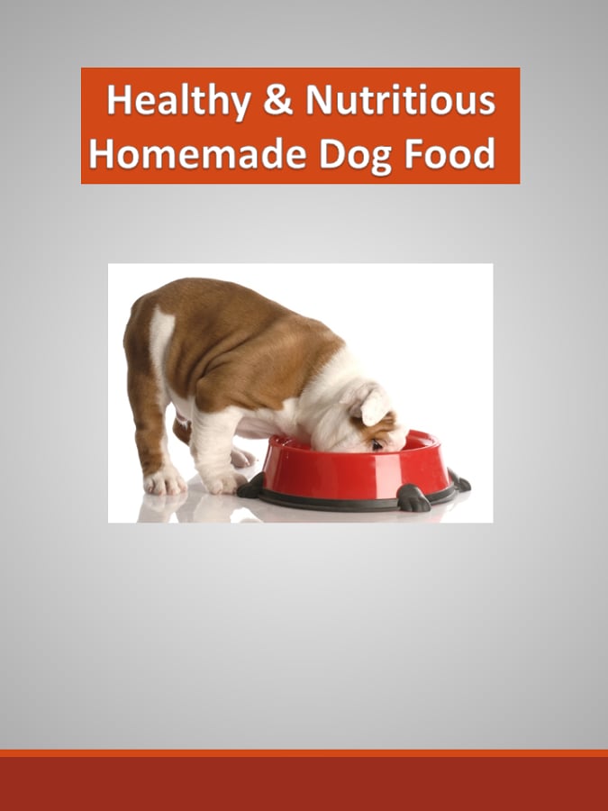 Dog Food Healthy &amp; Nutri...截图1