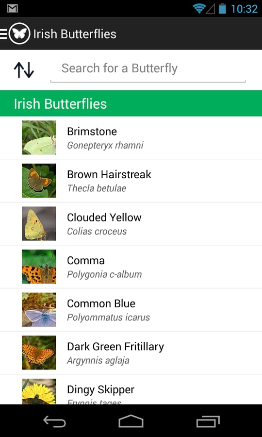 Irish Butterflies截图5