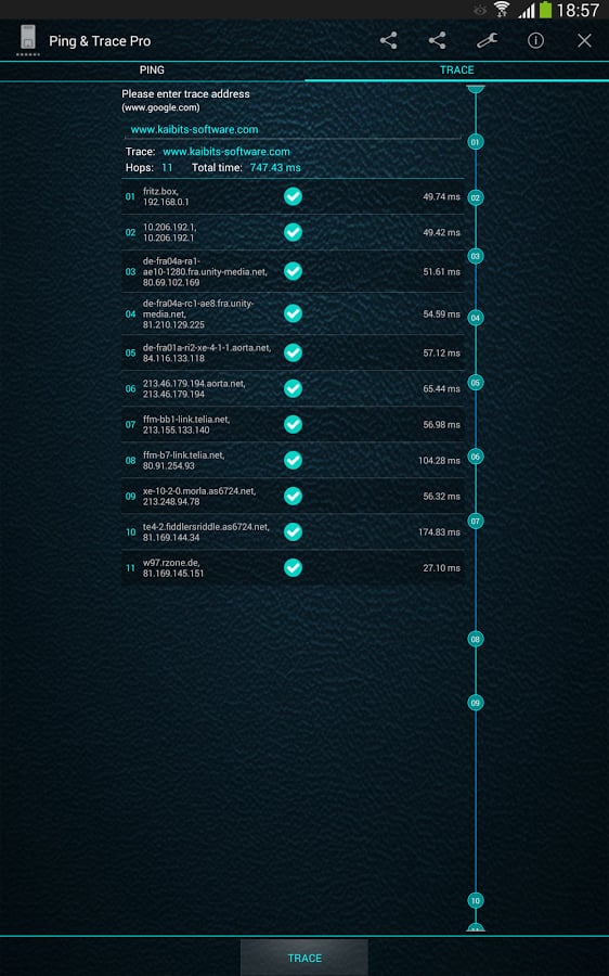 Ping and Trace Pro截图8