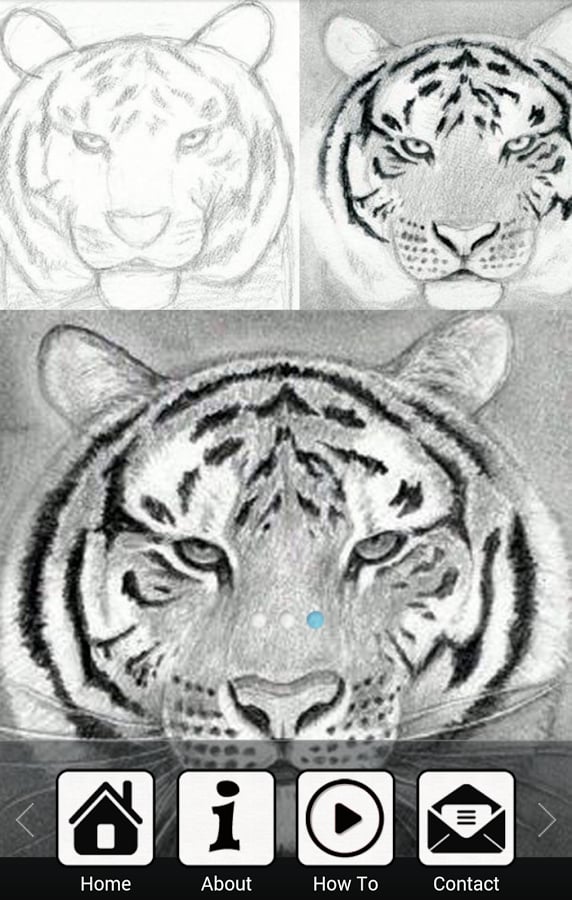 Draw a Tiger截图2