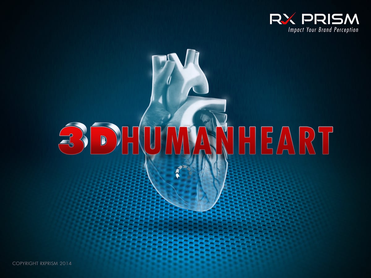 Heart Explore 3D截图2