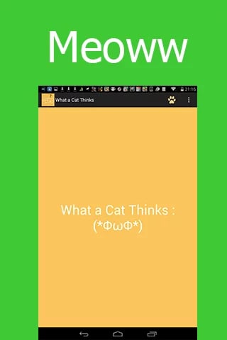 What a Cat Thinks?截图2